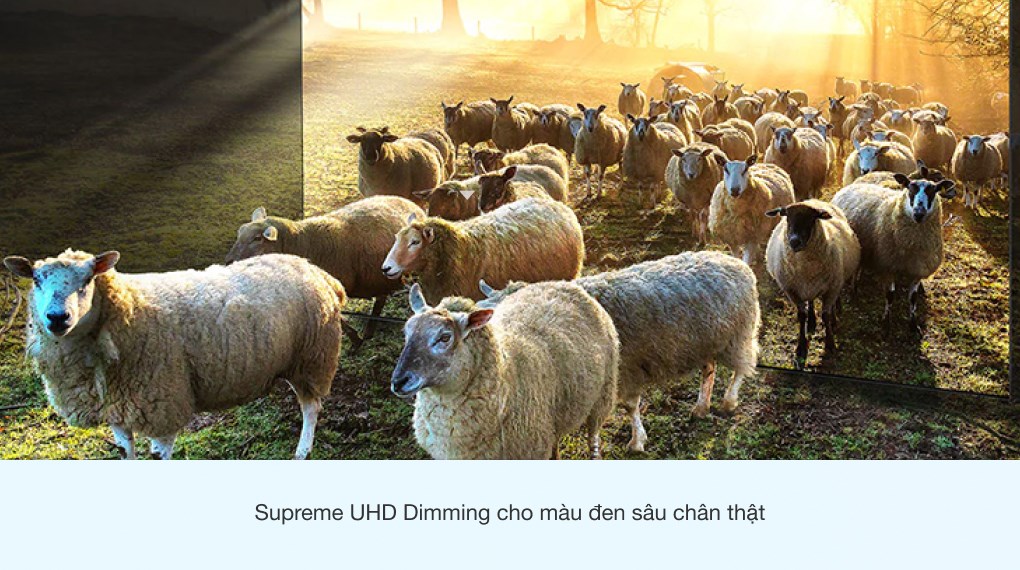 qled-4k-samsung-qa43q65a-040821-0652530