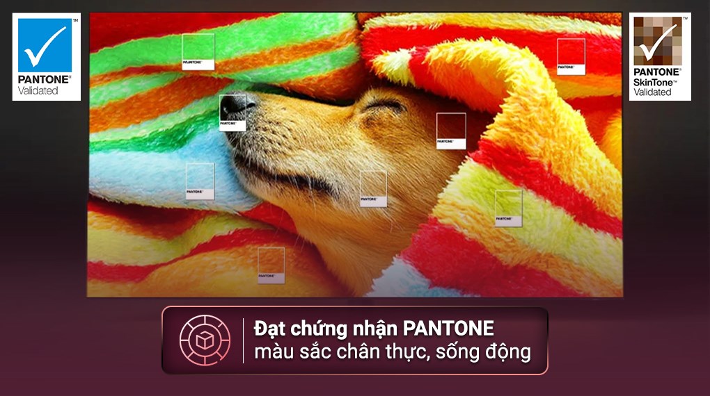 vi-vn-smart-tivi-qled-4k-55-inch-samsung-qa55q60c-5